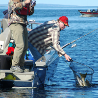 image of anglers netting large pike